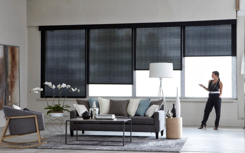 Motorized Blinds